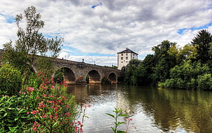 brown concrete bridge, water, bridge, forest, sky HD wallpaper