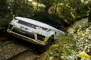 white Range Rover HD wallpaper