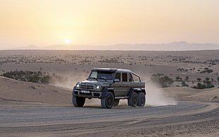 gray SUV, Gelenvagen, Mercedes-Benz G-Class, Mercedes-Benz, 6x6 HD wallpaper