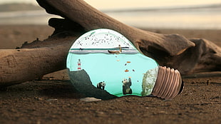 glass light bulb, light bulb, digital art, panda, wood HD wallpaper