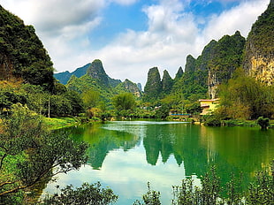 green calm body of water surrounded by forest during daytime