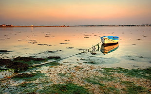 white and blue boat, boat, sea, sky