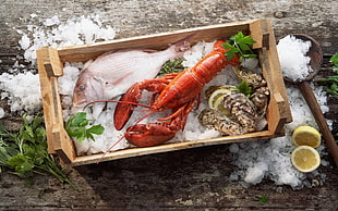 lobster,clamps and fish on brown wooden crate