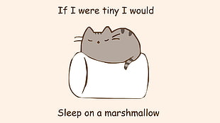 gray cat cartoon, humor, marshmallows, quote, cat HD wallpaper