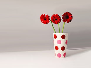 three red petal flower in white ceramic vase HD wallpaper