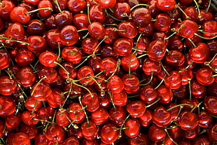 red cherry fruit lot HD wallpaper