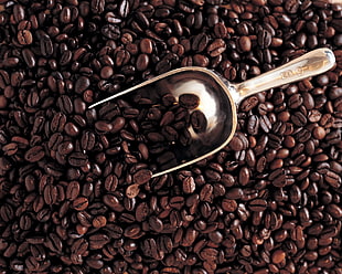 coffee beans HD wallpaper