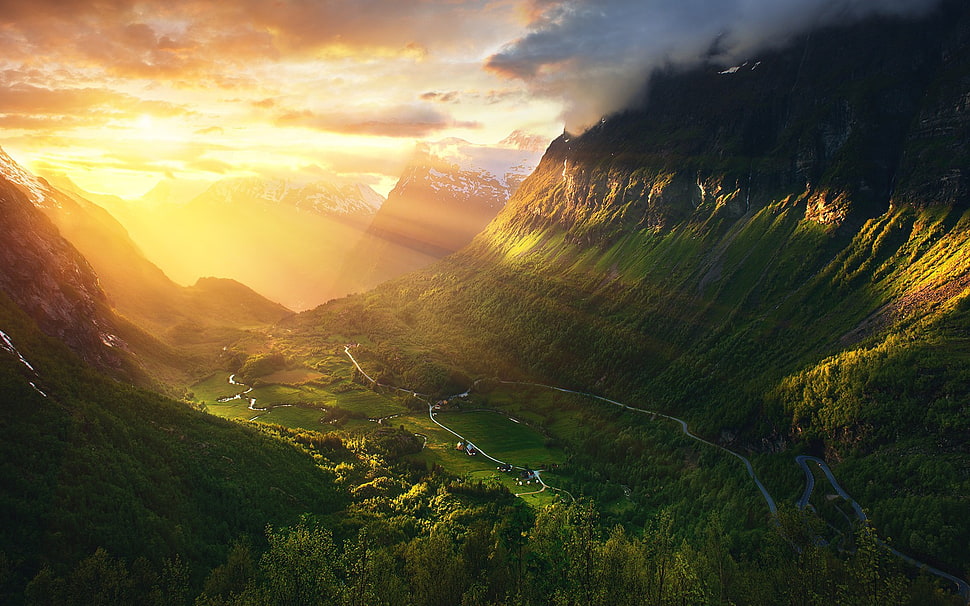 aerial photography of forest during daytime, Norway, Geirangerfjord, sunrise HD wallpaper