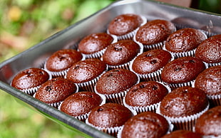 photography of chocolate muffins on tray HD wallpaper