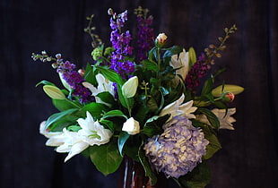 purple and white flowers