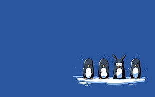 four pigeons illustration, penguins, simple background, humor, artwork HD wallpaper