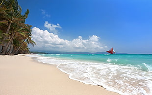 coconut trees, tropical, sailboats, beach, Boracay HD wallpaper