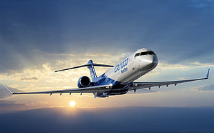 white and blue airplane at flight HD wallpaper