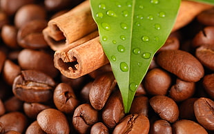 coffee beans HD wallpaper