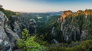 photo of rocky mountains and green forest