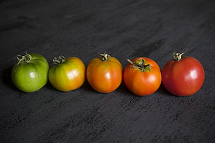 five red and orange tomatoes HD wallpaper