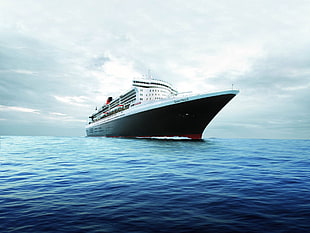 white and black boat on boat, cruise ship, vehicle, ship, sea HD wallpaper