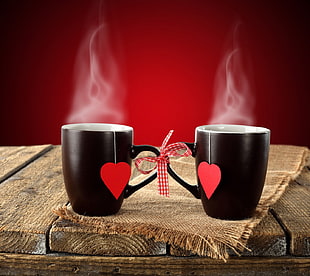 two black ceramic coffee mugs, nature, love HD wallpaper