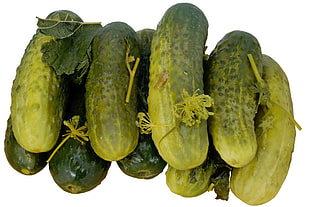 green cucumbers HD wallpaper