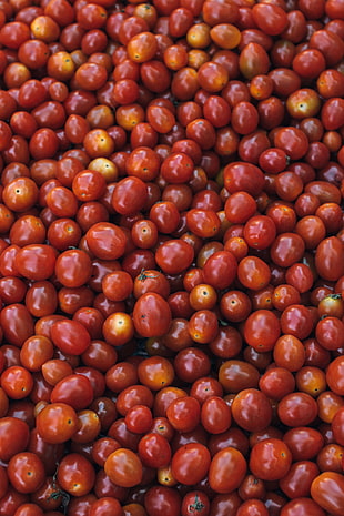bunch cherry tomatoes HD wallpaper