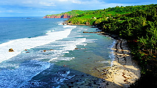 blue beach, Hawaii, Maui, tropical forest, tropics