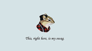 brown mouse illustration with this right here is my swag text, quote, mice, minimalism, artwork HD wallpaper