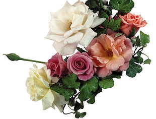 red, orange and white roses with green leaves