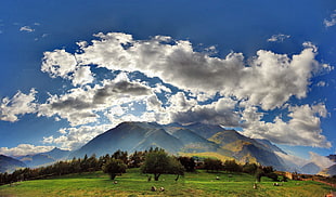 green mountain, nature, mountains, plains, landscape