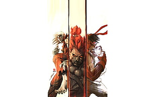 game digital wallpaper, Street Fighter, Akuma