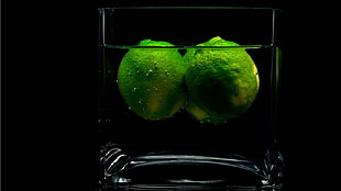 green and black fish tank, drinking glass, lemons, water HD wallpaper
