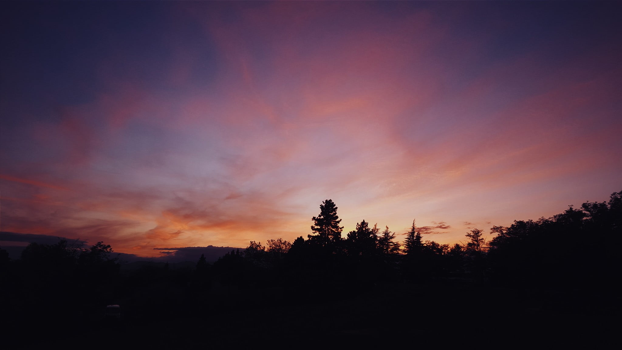 tall tree, landscape, sky, clouds, sunset