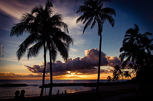 beach sunset photo