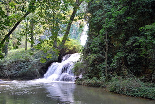 water flowing down stream