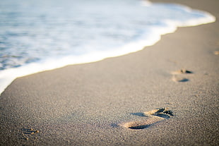 sea, beach, vacation, sand