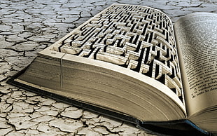 maze book folding artwork on dried land