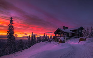 winter, sunset, clouds, forest HD wallpaper