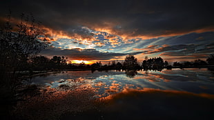 white cloudy sky, nature, sunset, landscape, sunlight