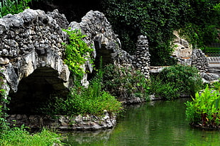 Gray Cave surrounded by Green plants