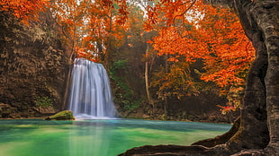 waterfalls surrounded by red leaf trees HD wallpaper
