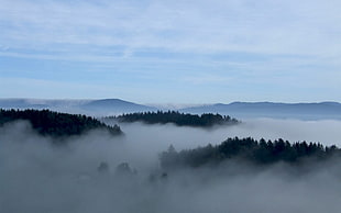 high rise mountain with fogs during daytime HD wallpaper