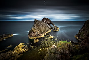 elephant island, nature, coast, sea, landscape