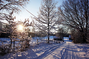 snow covered road