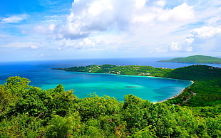 trees covered mountain, landscape, sea, nature, clouds