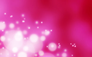 pink and white bokeh digital wallpaper