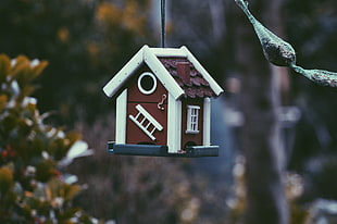 brown and white wooden birdhouse HD wallpaper