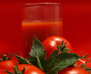 red Tomato HD wallpaper