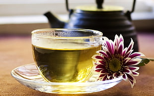 clear glass teacup with saucer