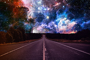 gray asphalt road in between trees under starry sky HD wallpaper