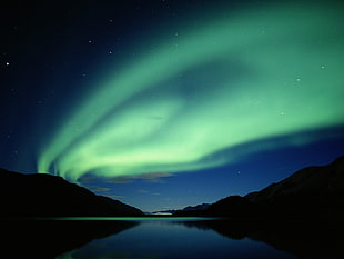 green and blue floral textile, nature, aurorae, night