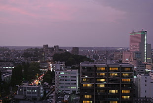 gray concrete buildings, Japan, cityscape